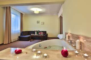 Отель Hotel Biały Dom Czerwionka Апартаменты с 1 спальней и гидромассажной ванной-3